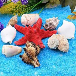 Dekoratif Sepetli Deniz Kabukları - Thumbnail